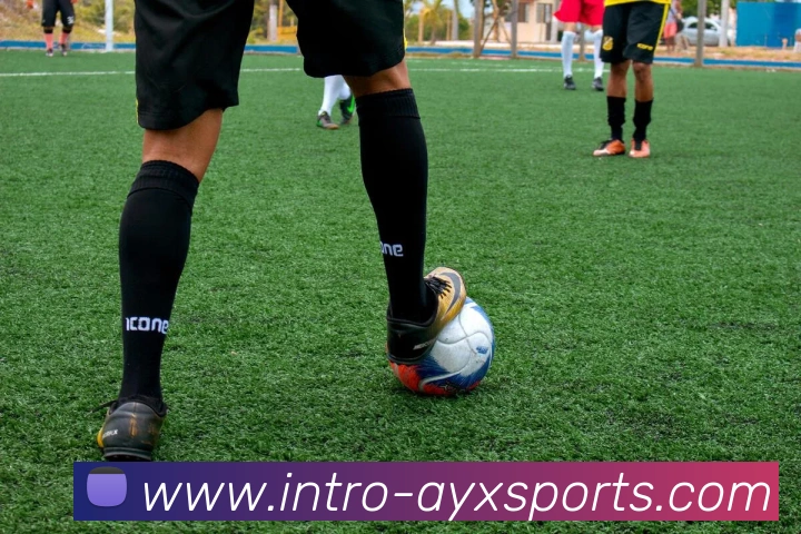 爱游戏体育APP 高清赛事图